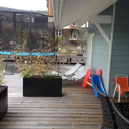 Maison Lumineuse Avec Sauna, Terrasse Sud, Proche Gérardmer, Animaux Acceptés - Fr-1-589-369
