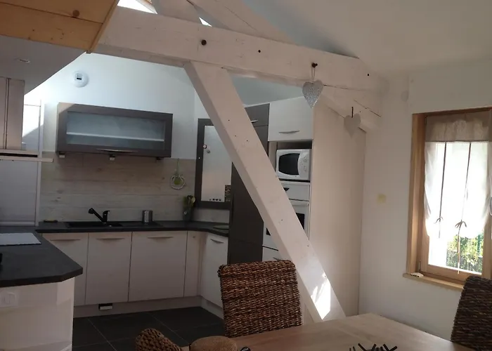 Maison Lumineuse Avec Sauna, Terrasse Sud, Proche Gerardmer, Animaux Acceptes - Fr-1-589-369 * Gérardmer